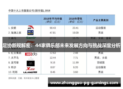 足协新规解密:44家俱乐部未来发展方向与挑战深度分析 足协新规解密:44家俱乐部未来发展方向与挑战深度分析