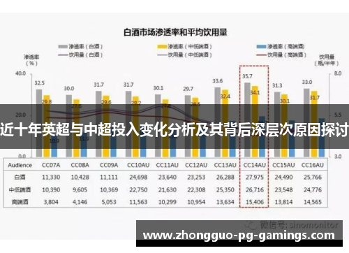 近十年英超与中超投入变化分析及其背后深层次原因探讨